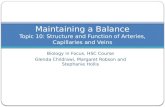 Maintaining a Balance Topic 10: Structure and Function of Arteries, Capillaries and Veins