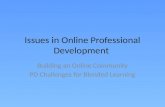 Issues in Online Professional Development
