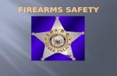 Firearms safety