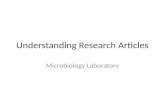 Understanding Research Articles