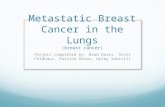 Metastatic Breast Cancer in the Lungs (breast cancer)