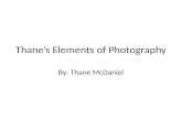 Thane’s Elements of Photography