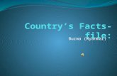 Country’s Facts-file: