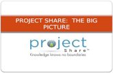 PROJECT SHARE:  THE BIG PICTURE