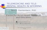 TELEMEDICINE AND TELE-MENTAL  HEALTH IN WYOMING