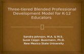Three-tiered Blended Professional Development Model for K-12 Educators