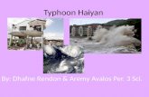 Typhoon  Haiyan
