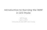 Introduction to Running the WRF in LES Mode