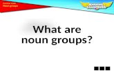 What are n oun  groups?