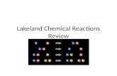 Lakeland Chemical Reactions Review