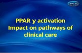 PPAR    activation Impact  on pathways of clinical  care