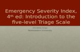 Emergency Severity  Index, 4 th ed :  Introduction to the five-level Triage Scale