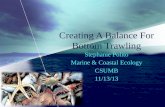 Creating A Balance For Bottom Trawling