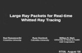 Large Ray Packets for Real-time  Whitted  Ray Tracing