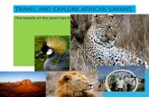 TRAVEL AND EXPLORE AFRICAN SAFARIS