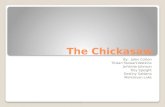 The Chickasaw