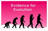 Evidence  for Evolution