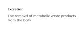 Excretion The removal of metabolic waste products from the body