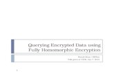 Querying Encrypted Data using Fully  Homomorphic  Encryption