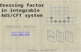 Dressing factor  in  integrable AdS /CFT system