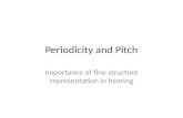 Periodicity and Pitch