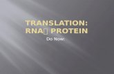 Translation: RNA  Protein