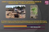 Using Clinoptilolite Zeolite to Conserve Water in Agriculture ~ A Field Application