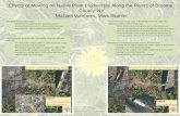 Floodplain Biodiversity studies: