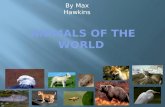 Animals of the world