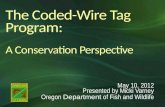 The Coded-Wire Tag Program: A Conservation Perspective