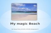 My magic Beach By Stacey Price_s251045_ECU204_Assignment 2