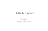 LAB: Is It Alive?