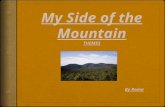 My Side of the Mountain THEMES