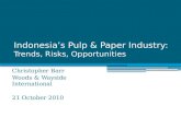 Indonesia’s Pulp & Paper Industry: Trends, Risks, Opportunities