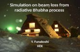 Simulation on beam loss from  radiative Bhabha  process