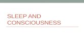 Sleep and Consciousness