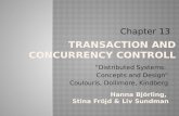 Transaction and  concurrency controll
