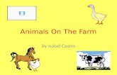 Animals On The Farm