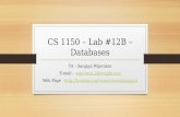 CS 1150  – Lab  #12B  –  Databases