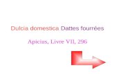 Dulcia domestica  Dattes fourrées Apicius, Livre VII, 296