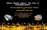 Public Health Impact: The Cost of Methamphetamine