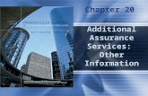 Additional Assurance Services:  Other Information