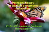 Pathophysiology  of calcium-phosphorus metabolism