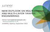 New Outlook on Multi-Domain and Multi-Layer Traffic  Engineering