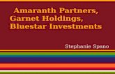 Amaranth Partners, Garnet Holdings, Bluestar Investments