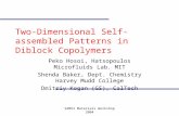 Two-Dimensional Self-assembled Patterns in Diblock Copolymers