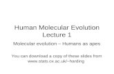 Human Molecular Evolution Lecture 1