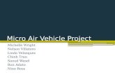Micro Air Vehicle Project