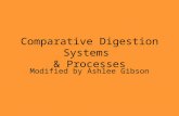Comparative Digestion Systems  & Processes