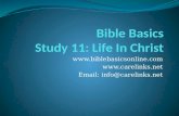 Bible Basics Study  11: Life In Christ